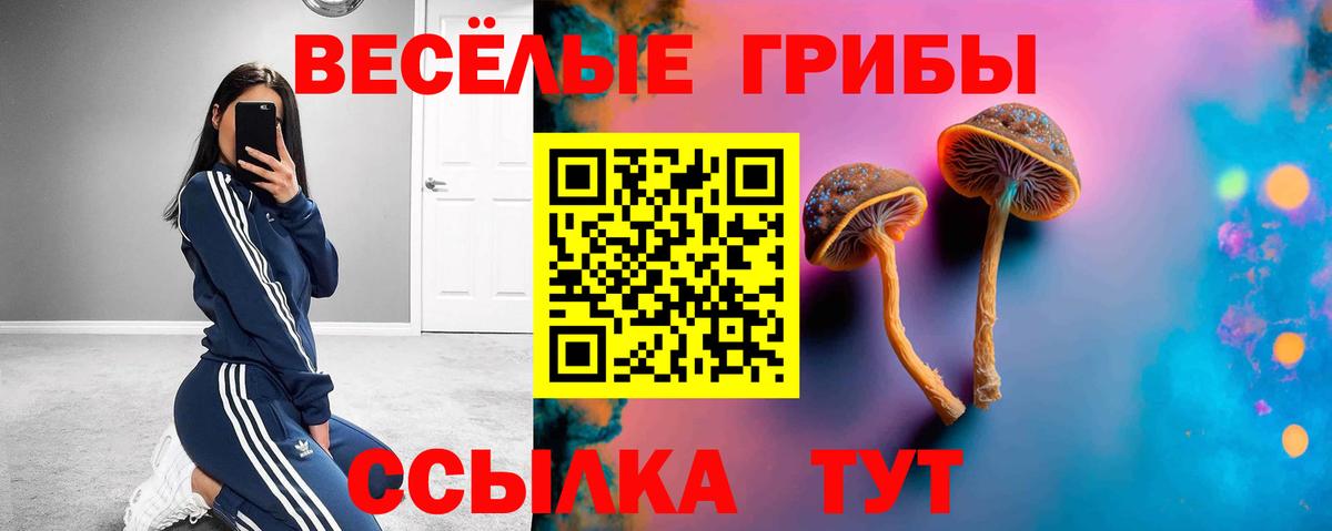 Псилоцибиновые грибы прущие грибы Кызыл